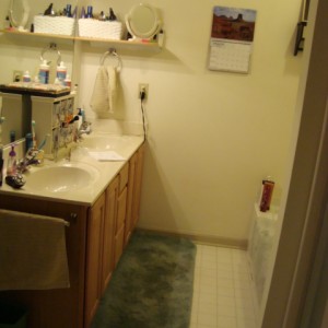 Bathroom Remodel - 'Before' Photo