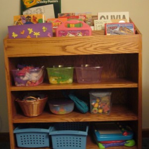 Customer wanted a cabinet to store books, toys, craft supplies, etc.  Customer had a picture of what they wanted with some modifications.