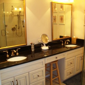 "FACE LIFTS" and REMODELING ALBUM