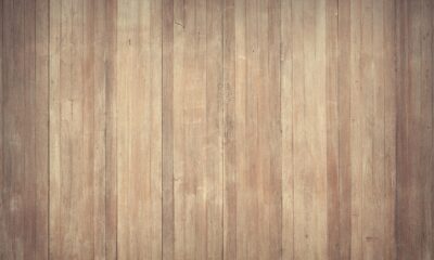 orbital sander wood