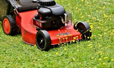 self propelled lawn mower