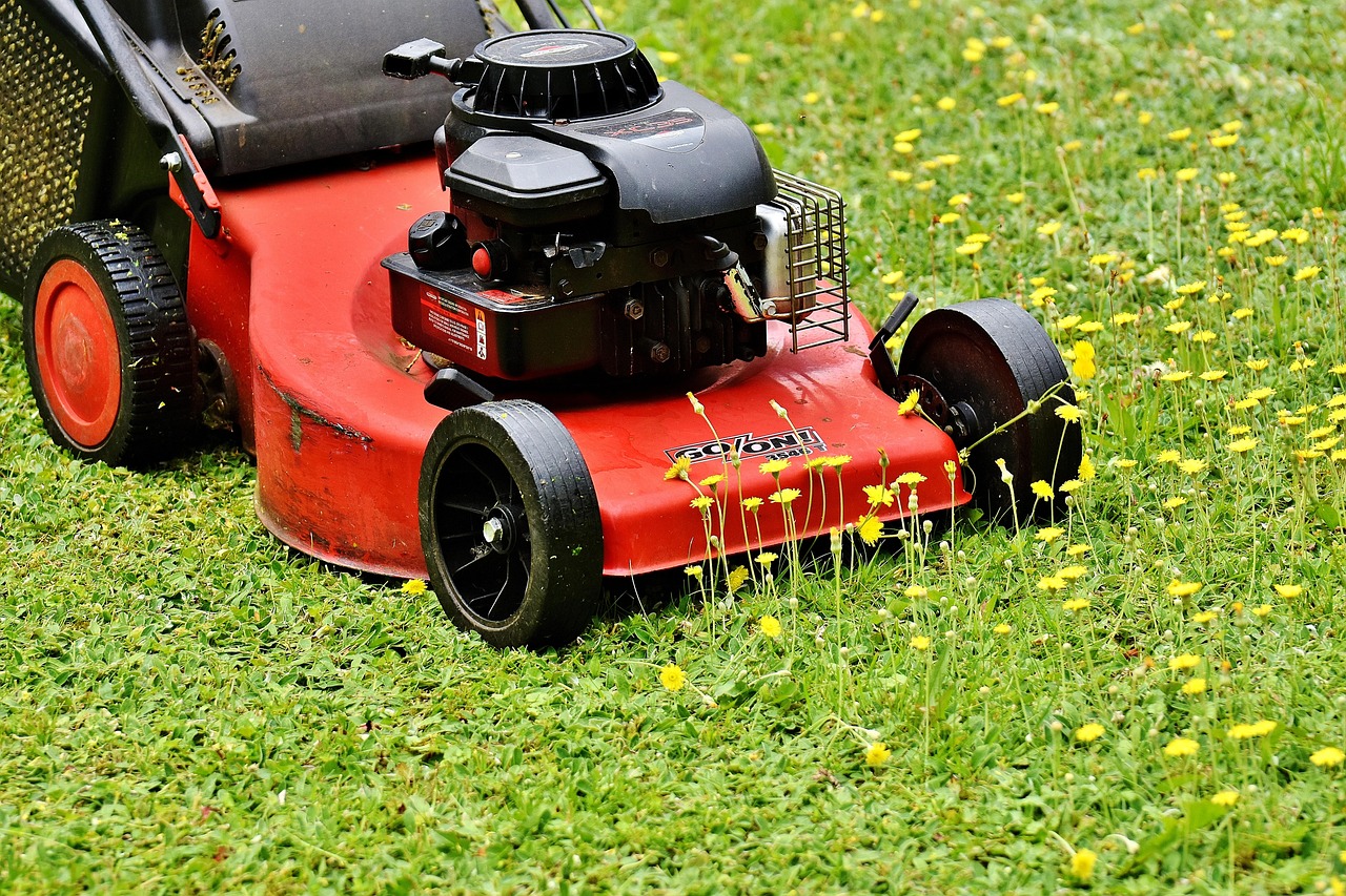 self propelled lawn mower