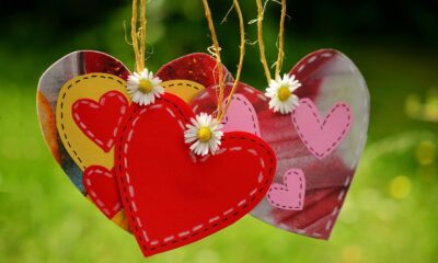 string of hearts plant