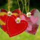 string of hearts plant