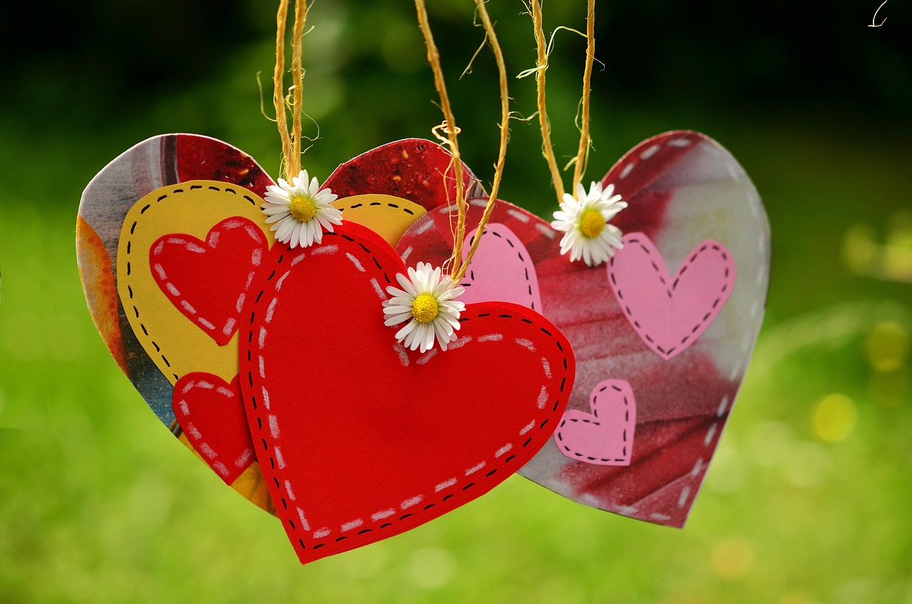 string of hearts plant